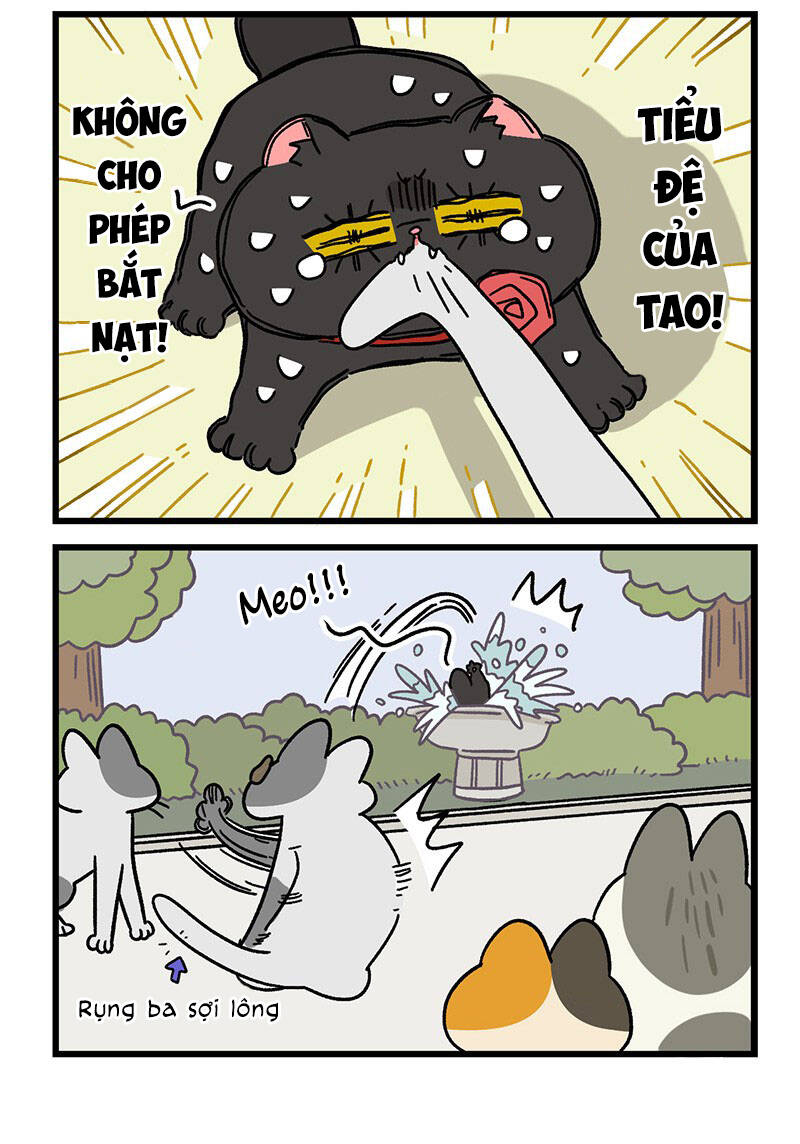 a mãn và mạch trà chapter 40.1 6