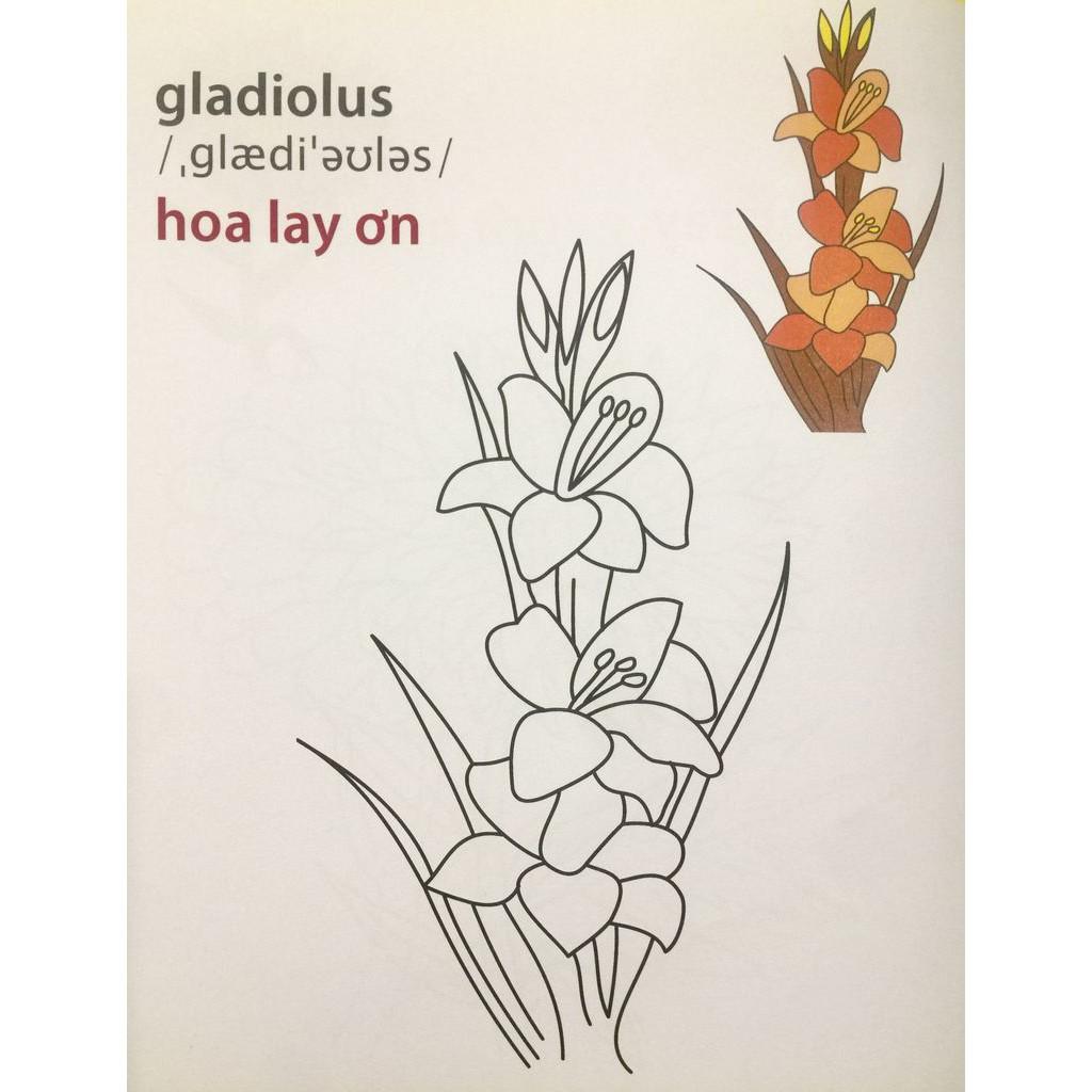 Giờ Học Tô Màu Của Bé Các Loài Hoa - Bàn Quyền