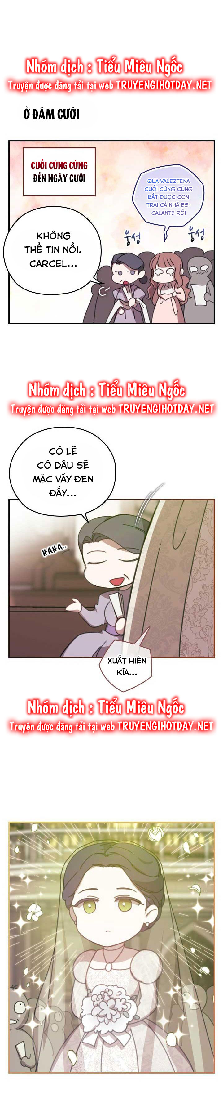 tôi mới là người quyết định cuộc hôn nhân này chapter 65.2 5