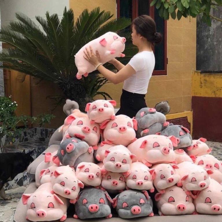 Gấu Bông Heo Phê Cần, Heo Mắt Híp Lợn Ngủ Đờ Đẫn Siêu Yêu size 40cm
