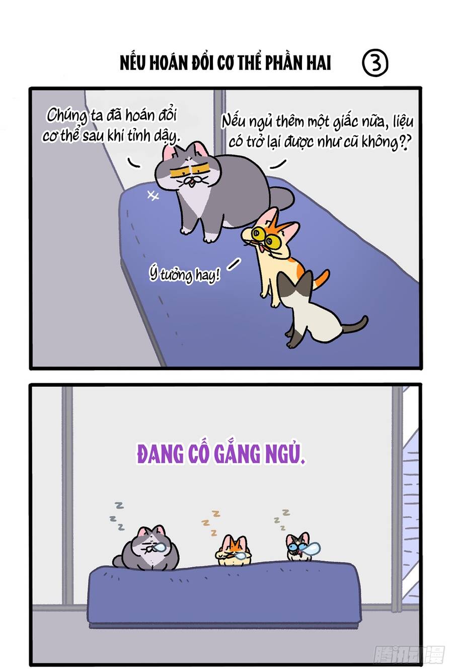 a mãn và mạch trà chapter 151 5