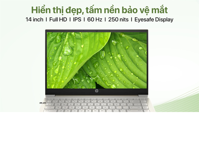 Máy Tính Xách Tay Laptop HP Pavilion 14-DV2032TU (Core i7 1255U/ 8GB/ 512GB SSD/ Intel Iris Xe Graphics/ 14FHD/ Windows 11 Home/ Gold) - Hàng Chính Hãng