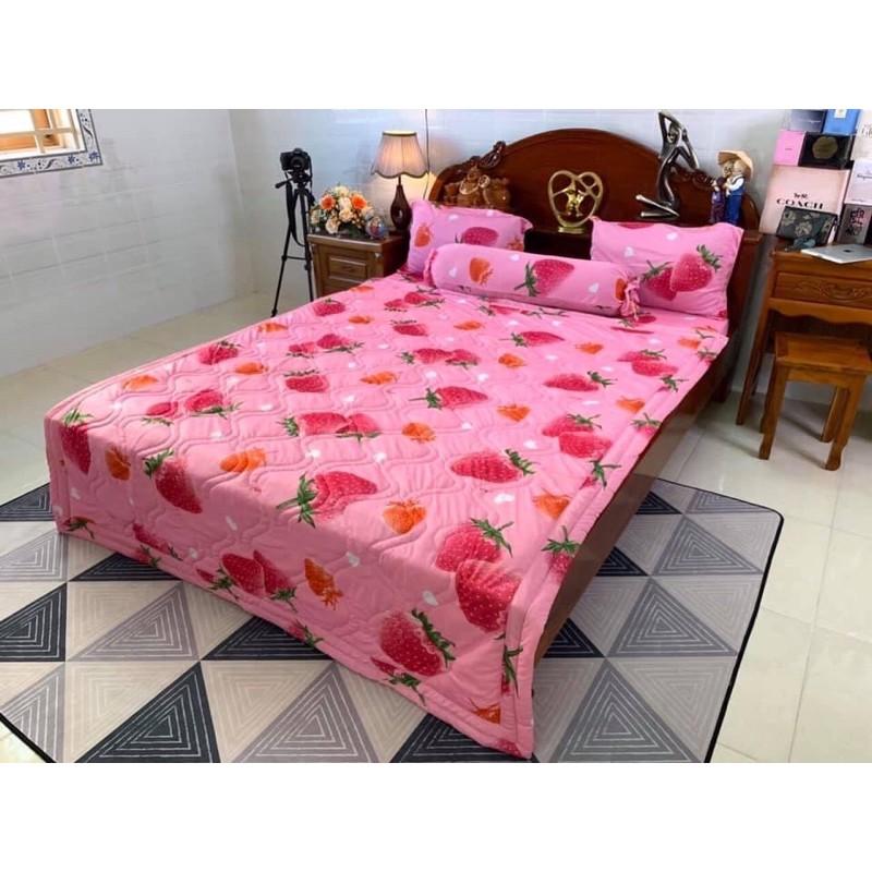 Bộ drap ga thun lạnh Hàn quốc 4 món chất đẹp
