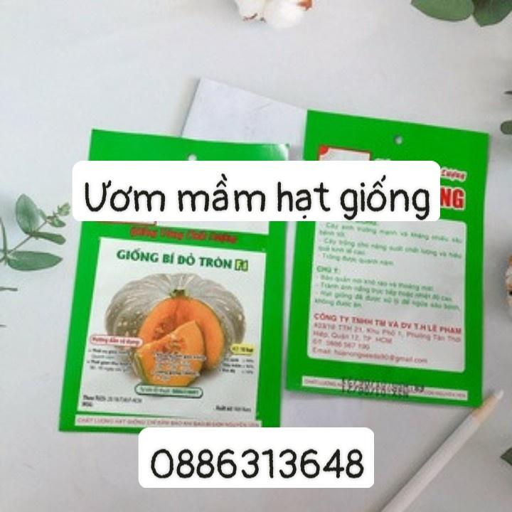 Hạt giống HN Giống bí tròn lớn f1 HN gói 10 hạt