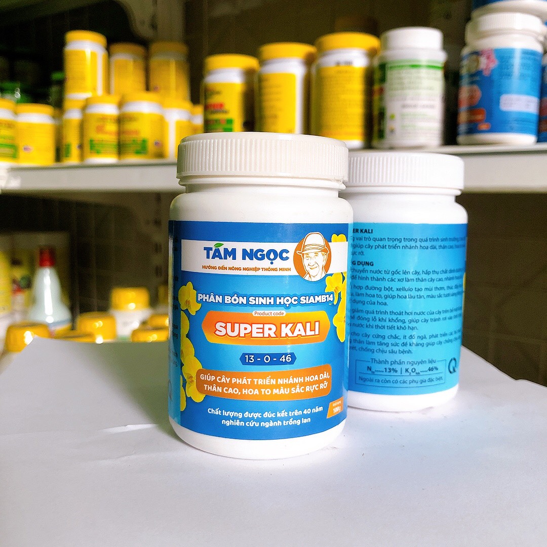 Bộ Tứ Super Thầy Tám Ngọc Cho Lan