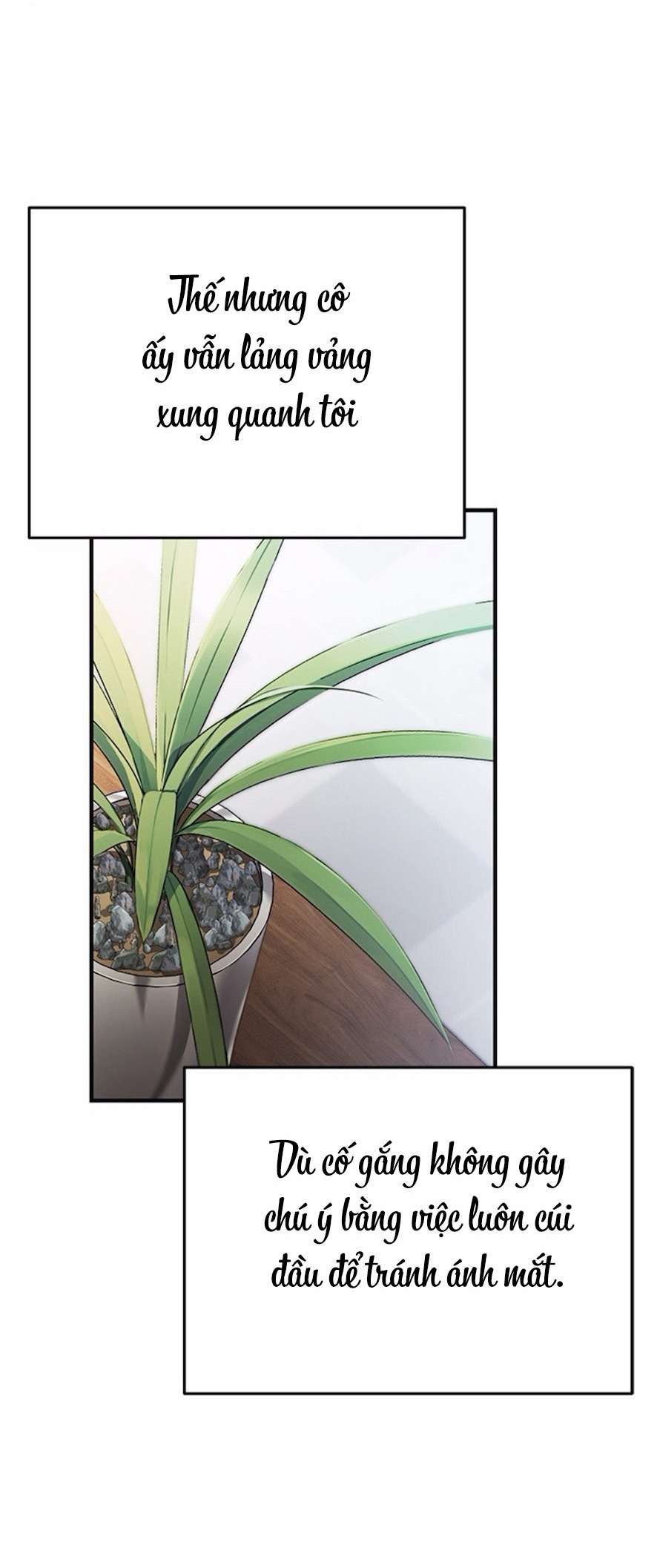 [18+] cạm bẫy thanh lịch chapter 7 11