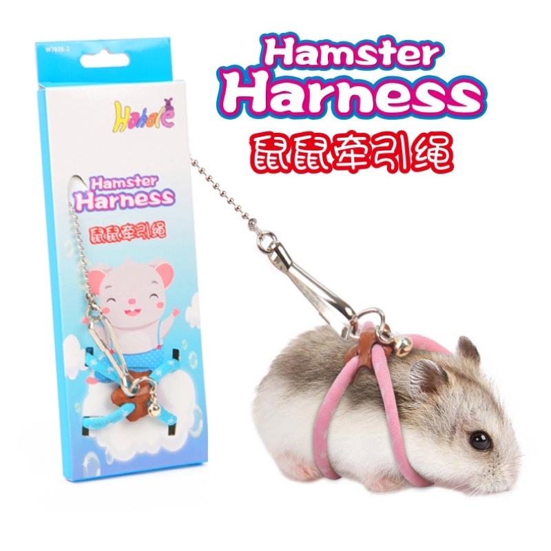 Dây dắt Hamster, Sóc đi chơi