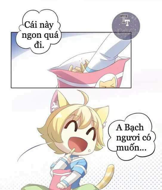 dưới móng vuốt mèo chapter 9 26