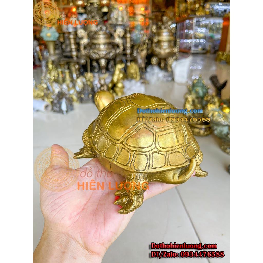 Tượng Kim Quy Màu Vàng Bằng Đồng Nguyên Chất Dài 21cm, Nặng 1,4kg
