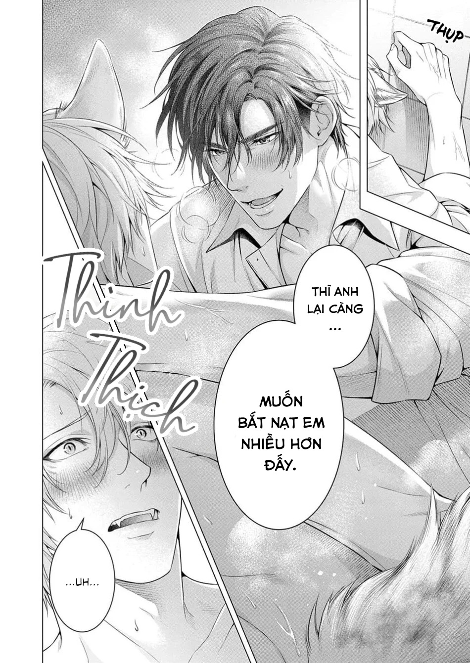 hãy để anh chạm vào cái đuôi hư hỏng này nhé chapter 2 15