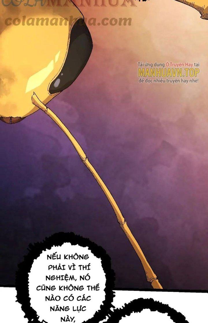 từ cây cổ thụ bắt đầu tiến hóa chapter 36 40