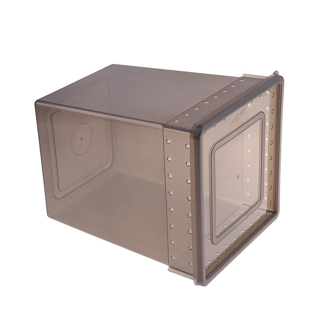 Reptile Feeding Box Transparent Cage Hatching Container for Lizard Frog Black