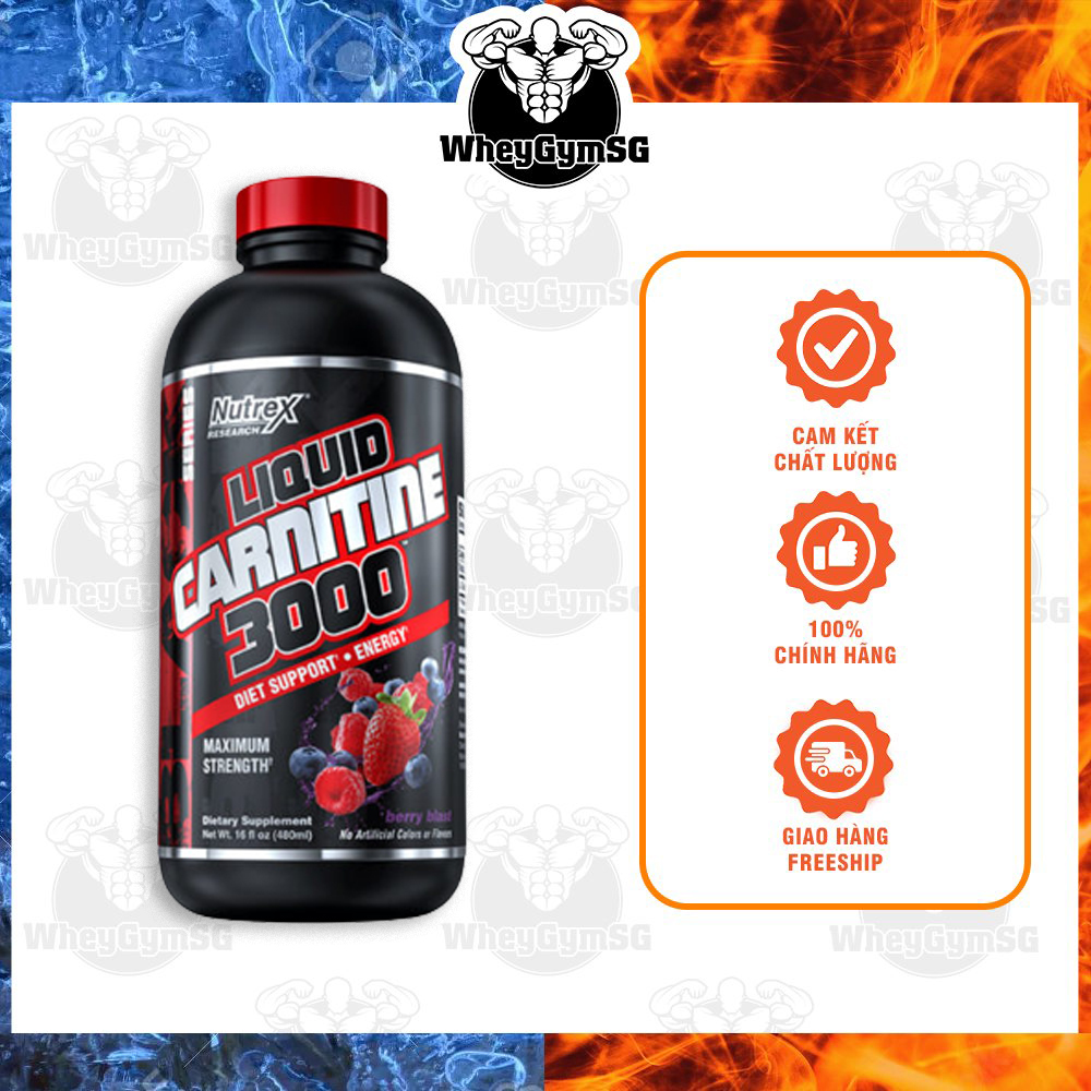 Nutrex L Carnitine 3000 Dạng Siro Chuyển Hoá Mỡ Thành Năng Lượng Giúp Body Thon Gọn Body An Toàn - Usa