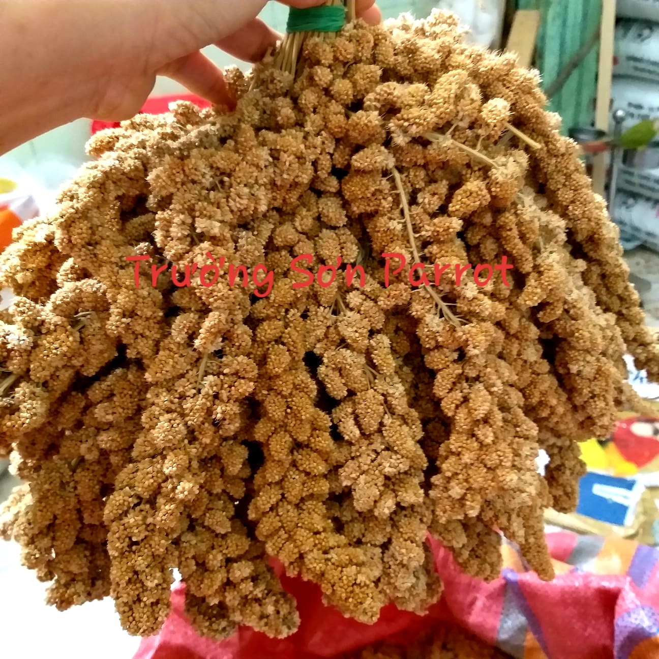 Kê chùm cho vẹt, chuột gói 500g/1000g