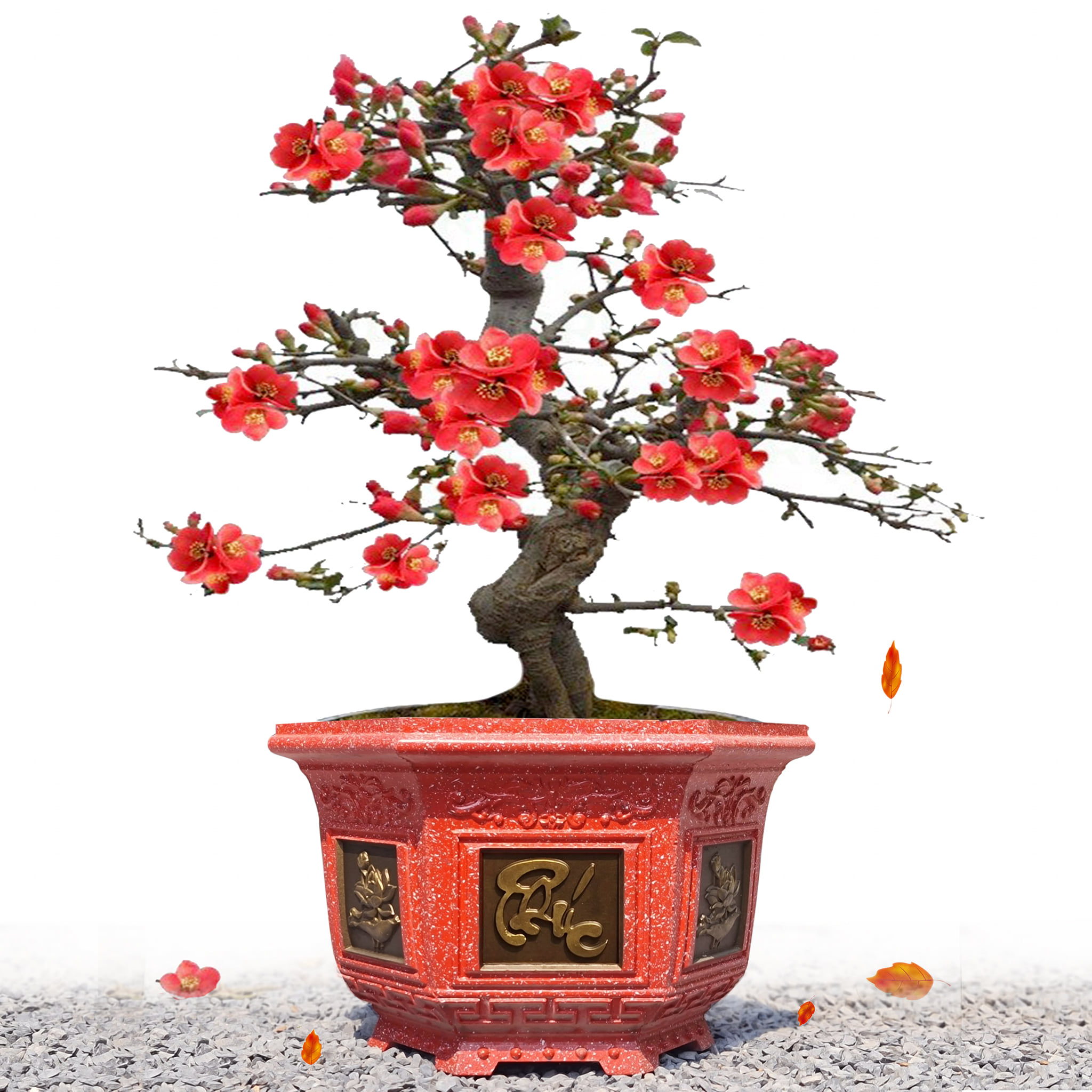 Khuôn đúc chậu lục giác 38cm