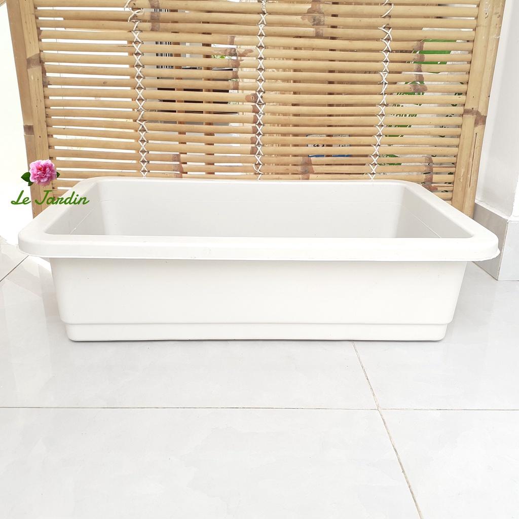 Khay trồng rau thông minh nhựa dày loại tốt 65x42x16cm