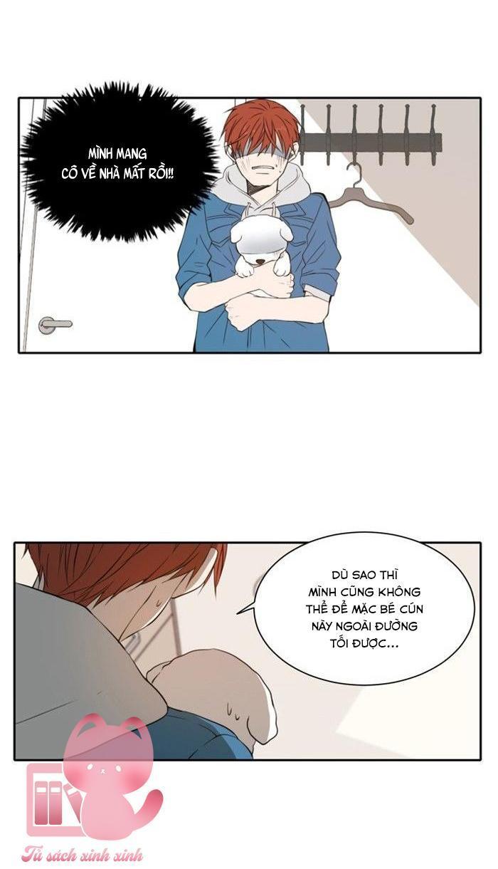 a good day to be a dog chapter 11 15