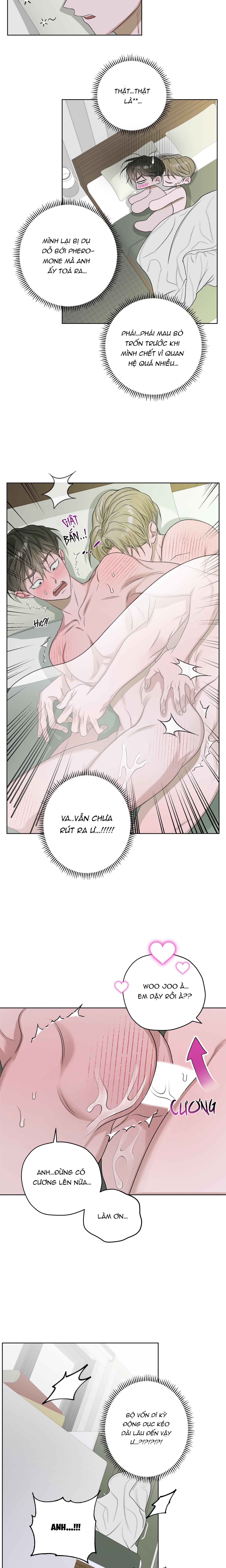 đoá hoa trên mặt hồ chapter 25 6