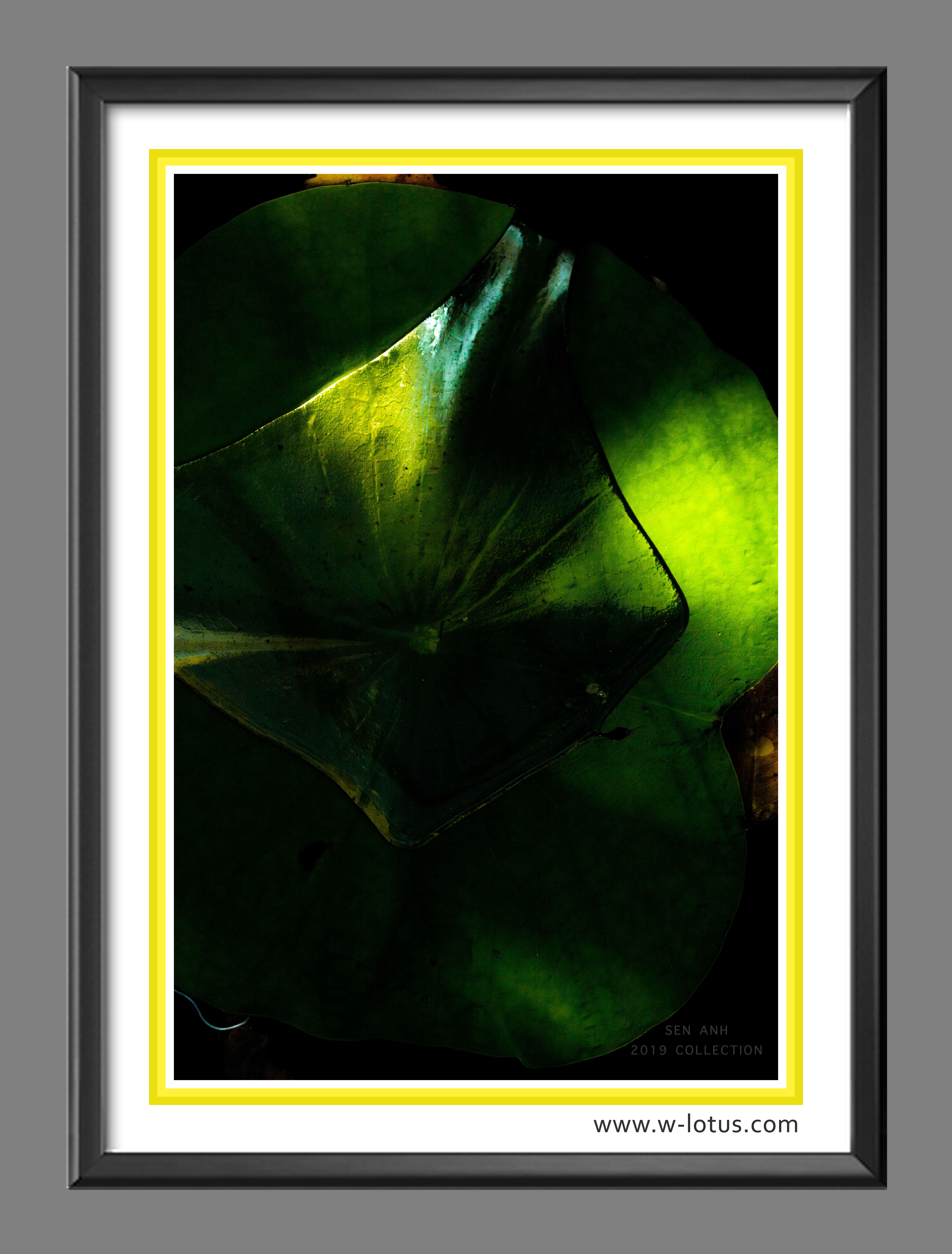 Tranh canvas hoa Sen treo phòng khách ST-00061