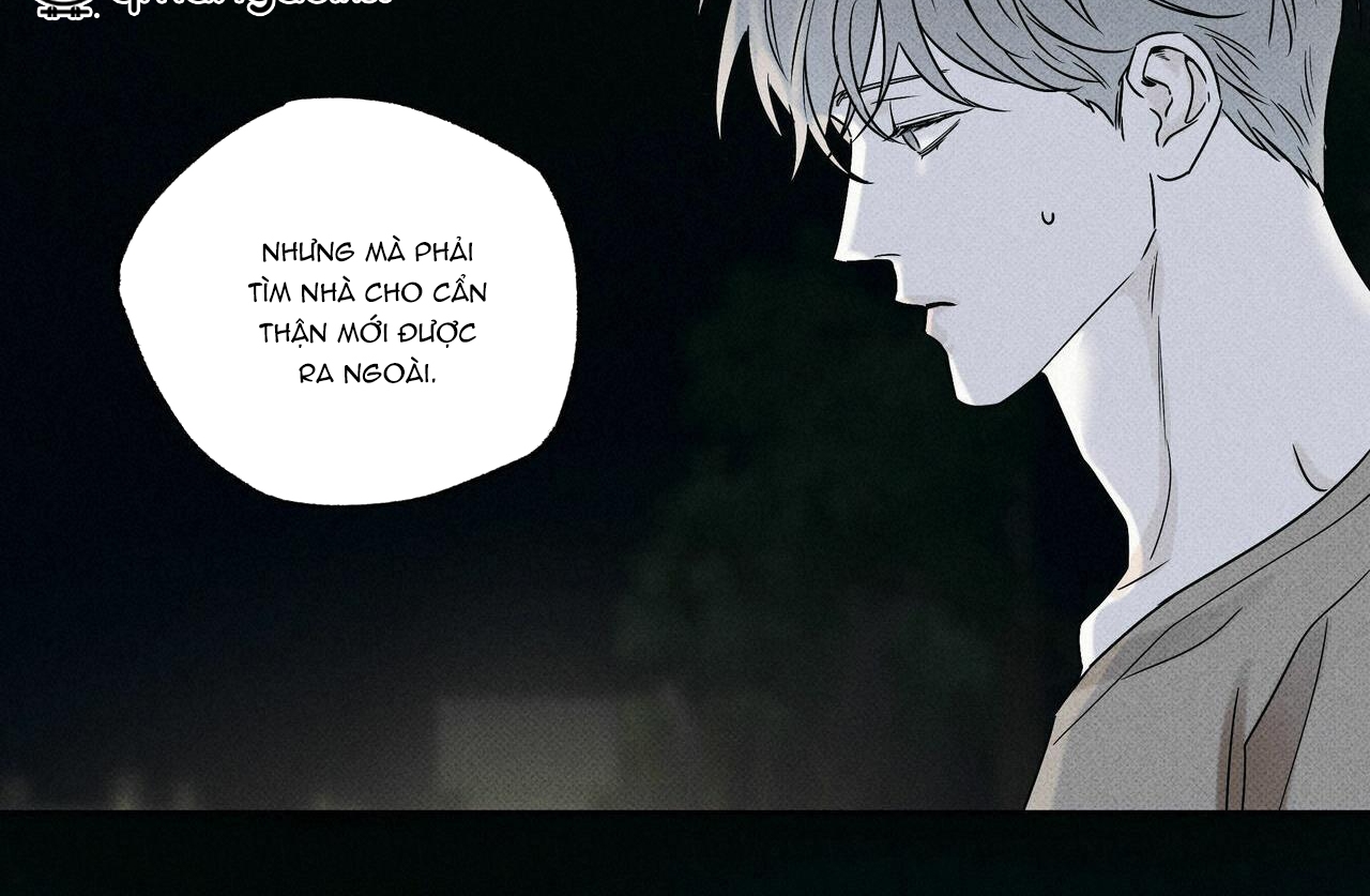 chàng giao pizza và gold palace chapter 32 81