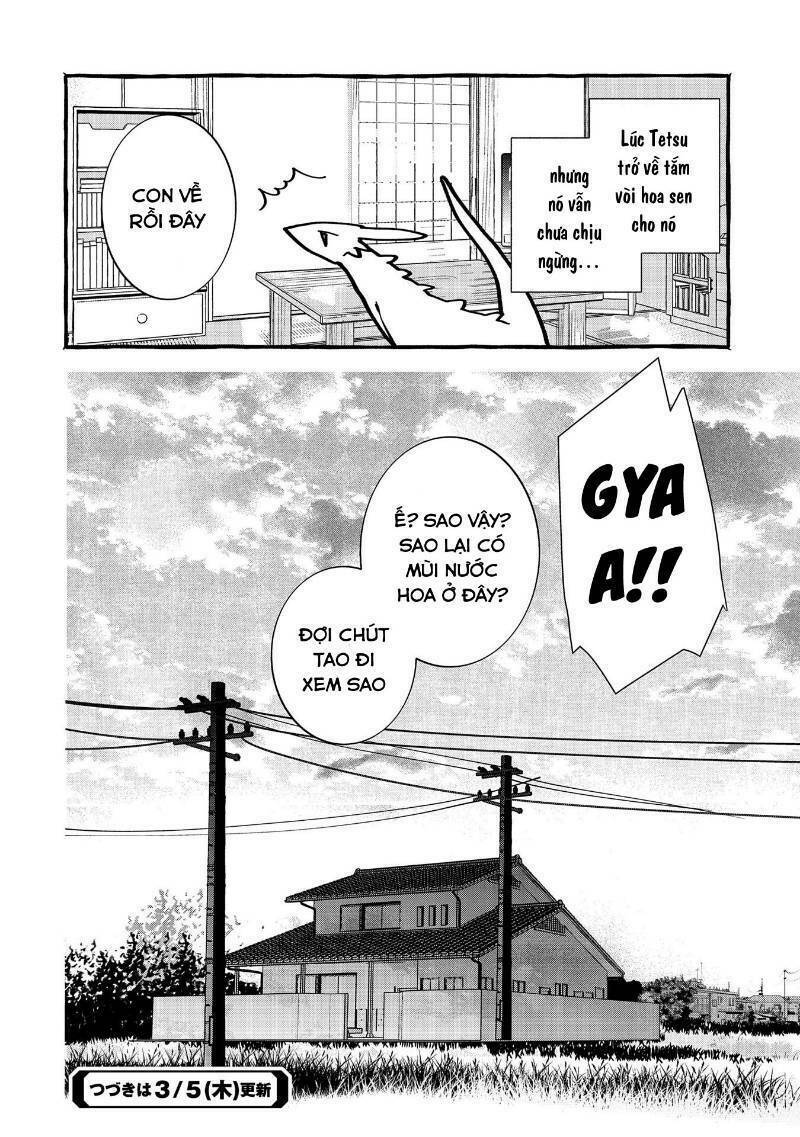 yêu cầu khẩn cấp: cách nuôi một con rồng bị bỏ rơi ! chapter 4 37