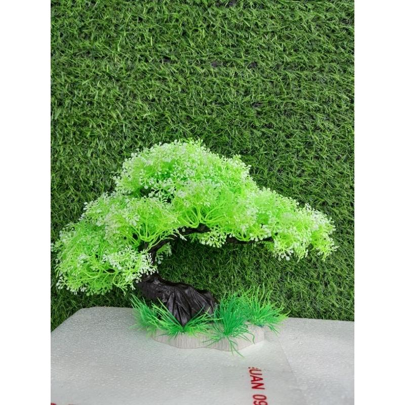 Bonsai bể cá cảnh - cây trang trí hòn non bộ tiểu canh-cây để bàn