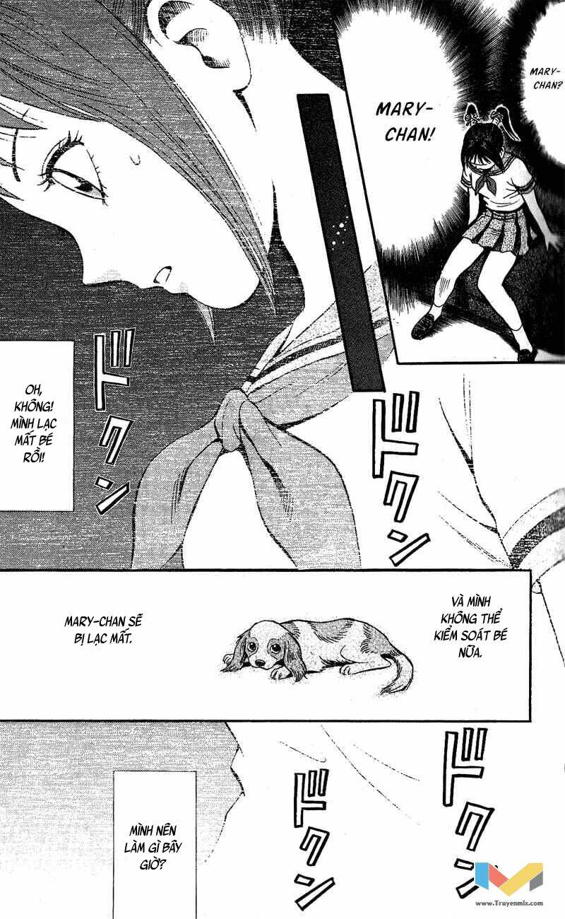 animal sense chapter 7 28