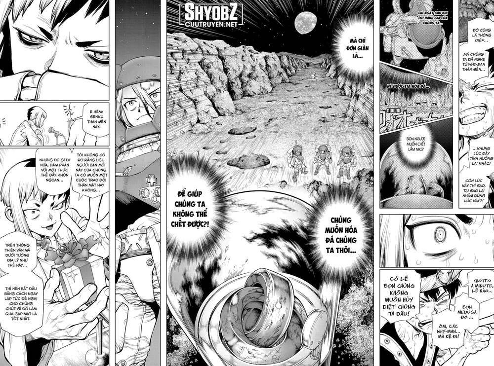 dr.stone - hồi sinh thế giới chapter 228 14