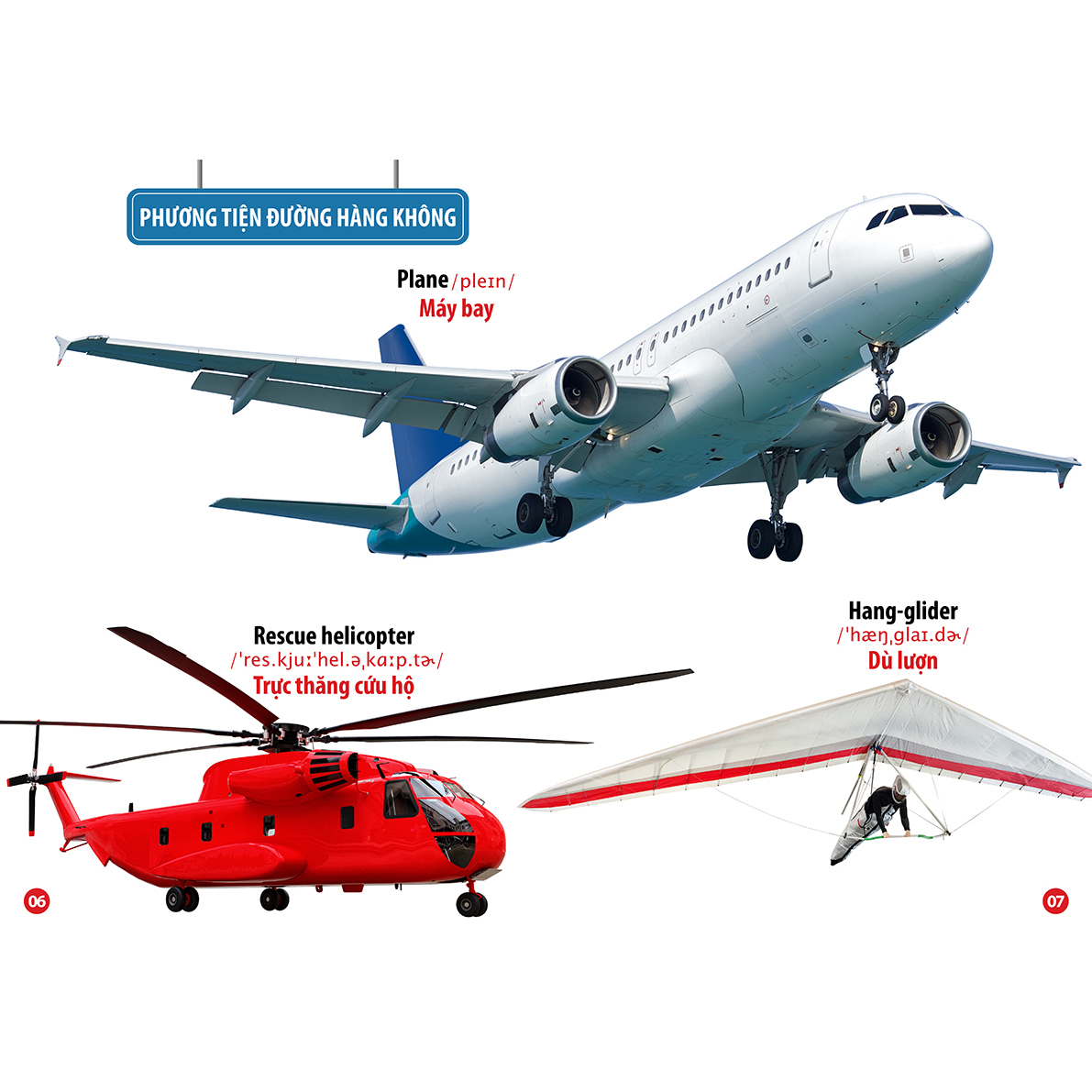 Từ Điển - Thư Viện hình Ảnh Song Ngữ Đầu Tiên Của Bé - Phương Tiện Giao Thông - Côn Trùng Bò Sát