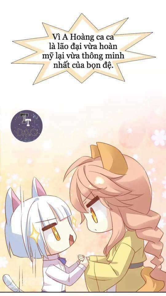 dưới móng vuốt mèo chapter 6 26