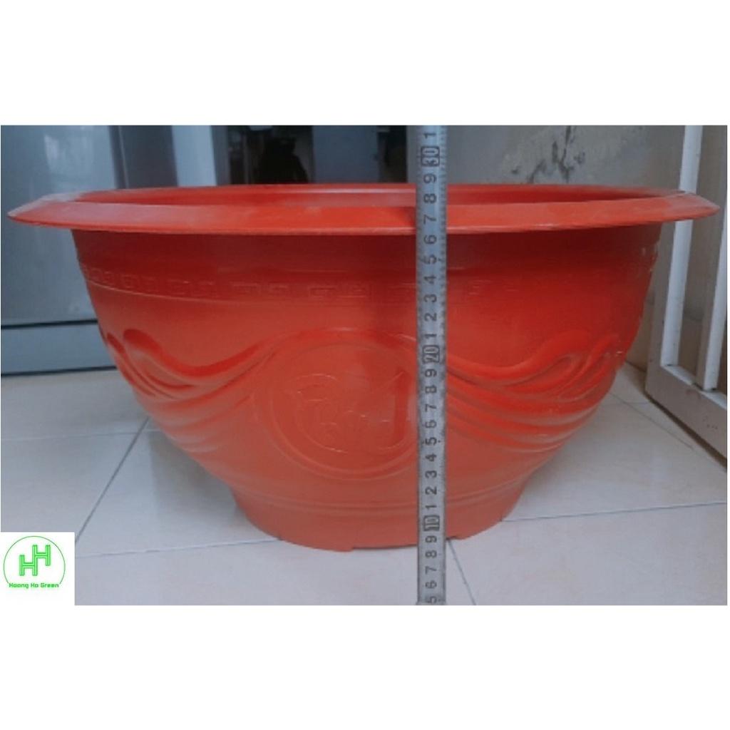 3 Chậu Nhựa Trồng Hoa, Cây Cảnh Bình Thuận PLT 58