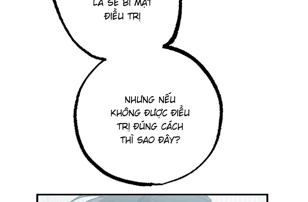 những chú thỏ của hapypy chapter 61 26