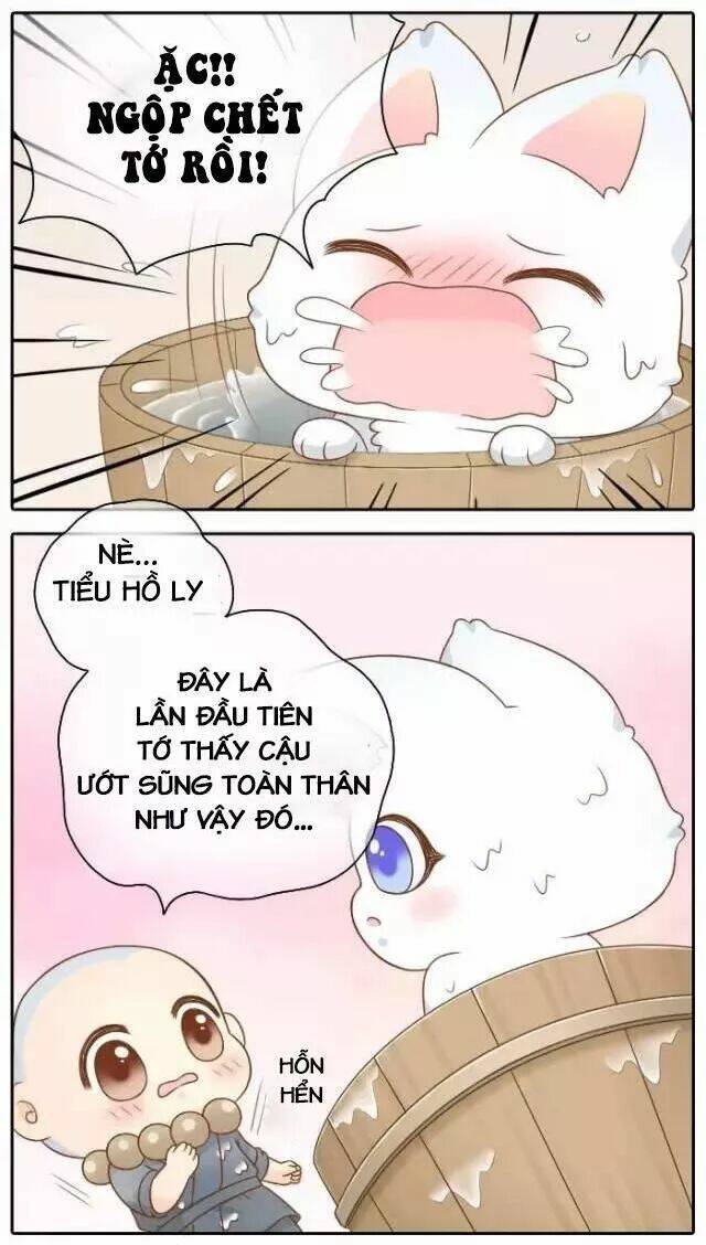 tiểu hồ ly vs tiểu hóa thượng chapter 50 11