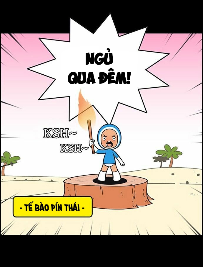 yumis cells chapter 71 11