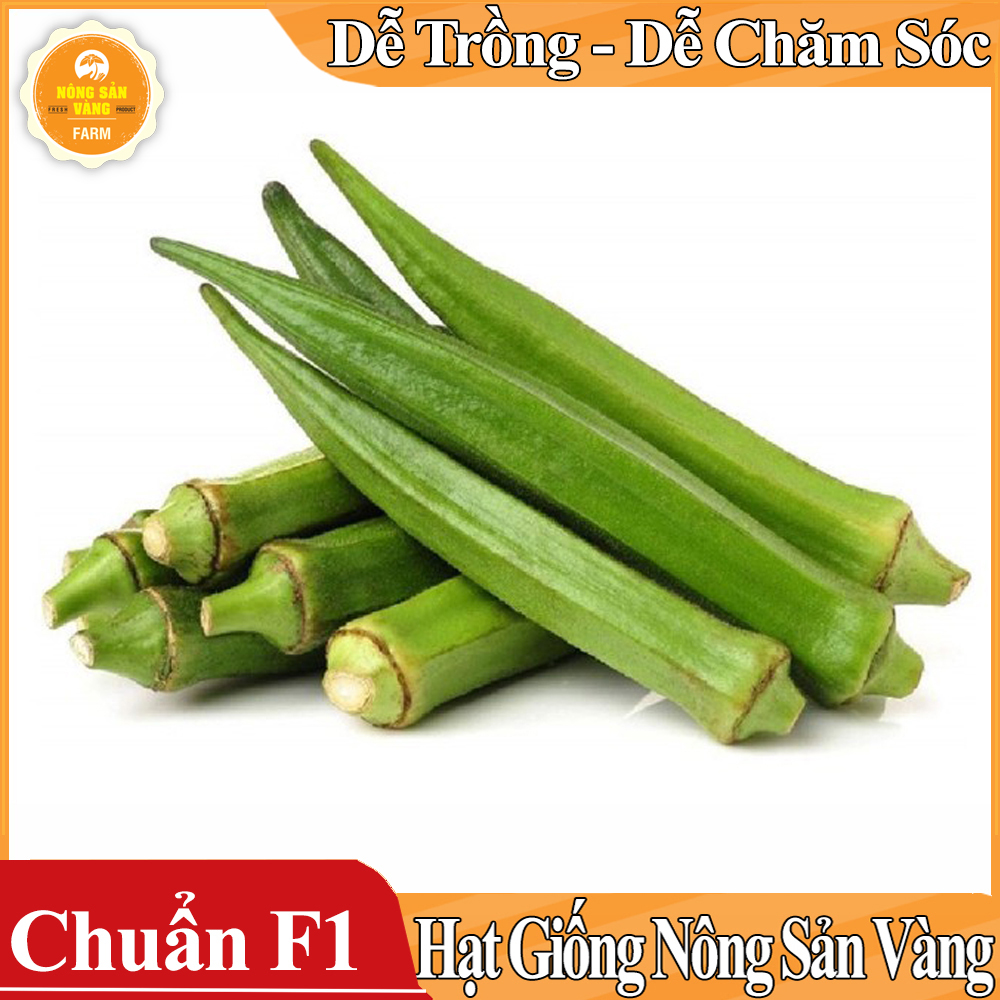Hạt giống Đậu Bắp Cao Sản - Nông Sản Vàng