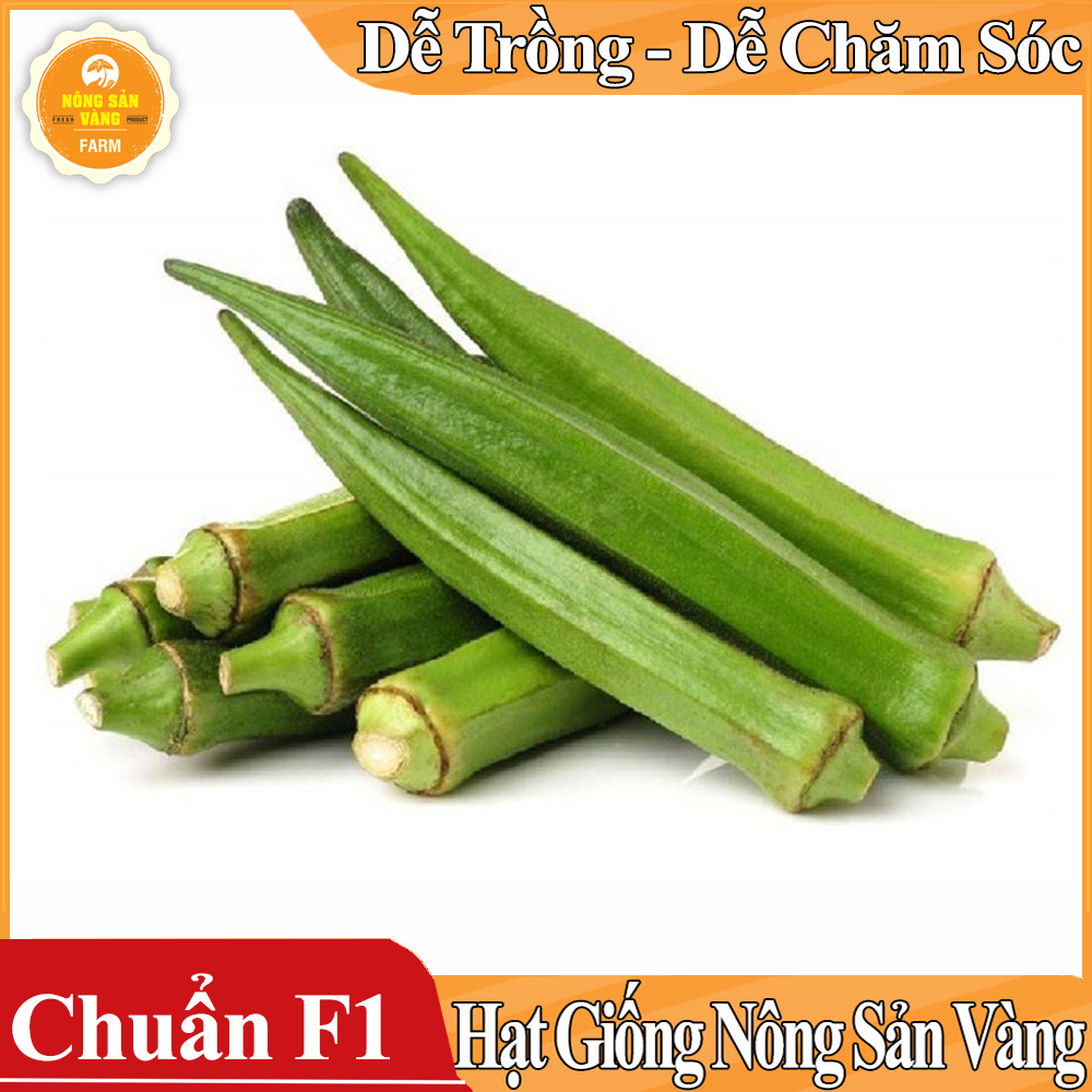 Hạt giống Đậu Bắp Cao Sản ( Gói 20 Gram ) - Nông Sản Vàng