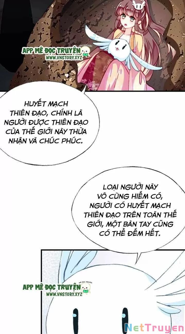 lại bị bệnh chiều chuộng quấn lấy chapter 13 23