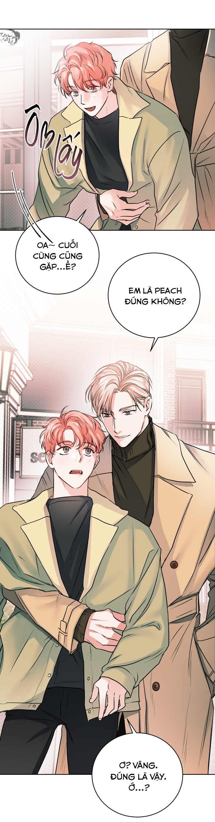 gỡ rối tình yêu chapter 1 28