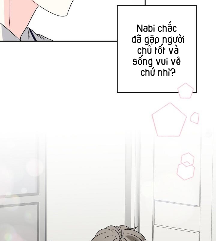 xác suất tình yêu chapter 40 95