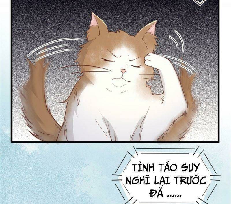 sát thủ vương phi không dễ chọc chapter 30 50