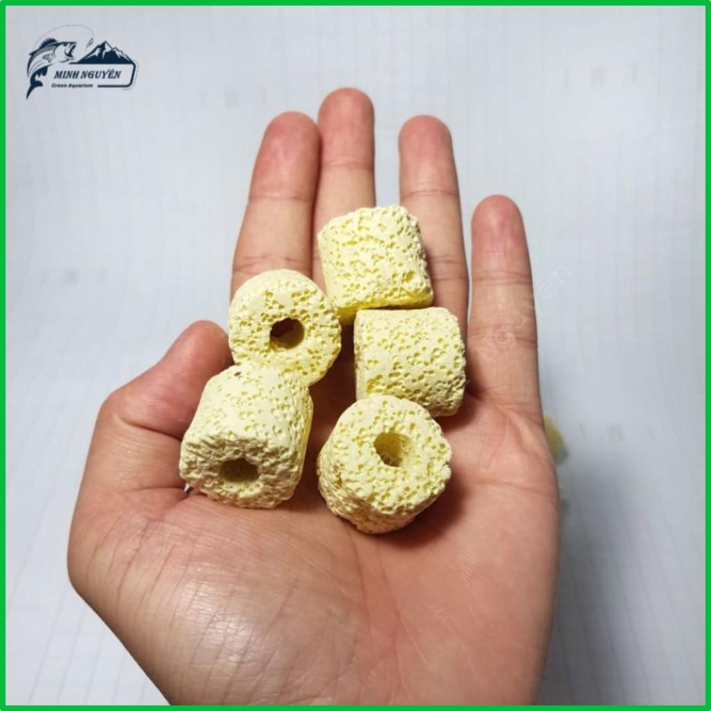 Sứ nhẫn vàng - Sứ Trụ Vàng - Vật liệu lọc bể cá cảnh