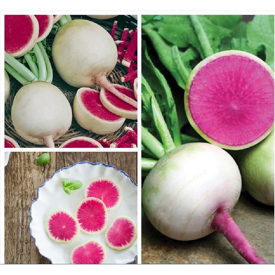 Hạt giống củ cải trắng ruột đỏ-gói 2gram/tặng kèm gói phân bón lót