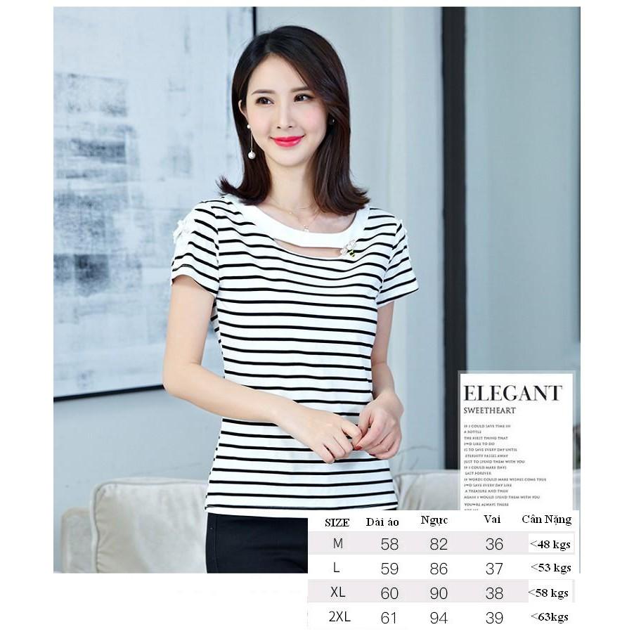 Áo thun thời trang phối cài áo hình con ong AN15