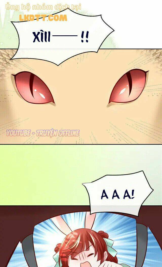 hắc hóa nam chính trực tuyến nuôi thỏ chapter 30 19