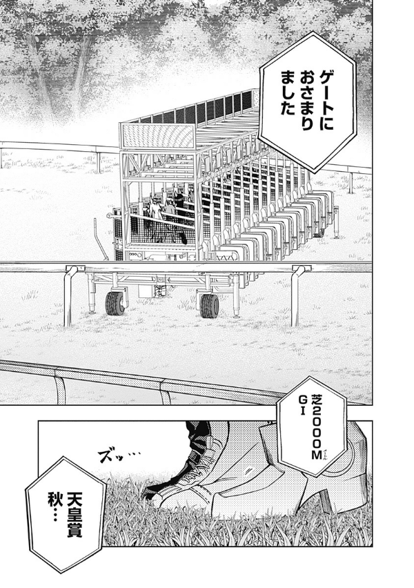 Sách ngoại văn: Uma Musume Cinderella Gray 5 (Japanese Edition)