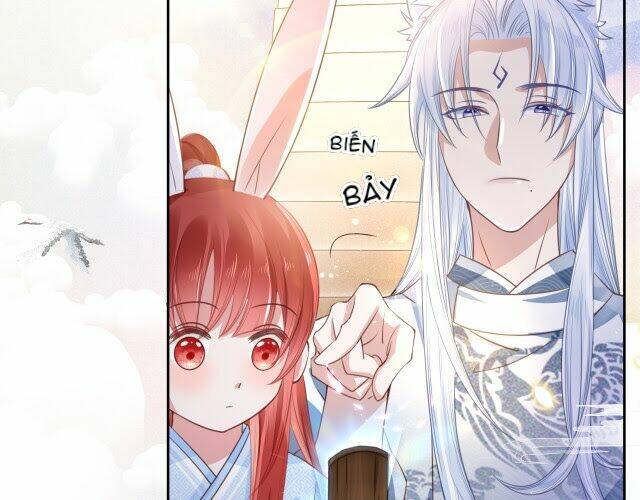 hắc hóa nam chính trực tuyến nuôi thỏ chapter 11 64