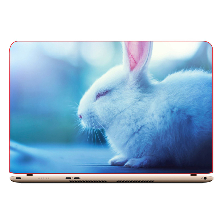 Miếng Dán Trang Trí Decal Laptop Trang Trí Animal Cartoon DCLTDV 208