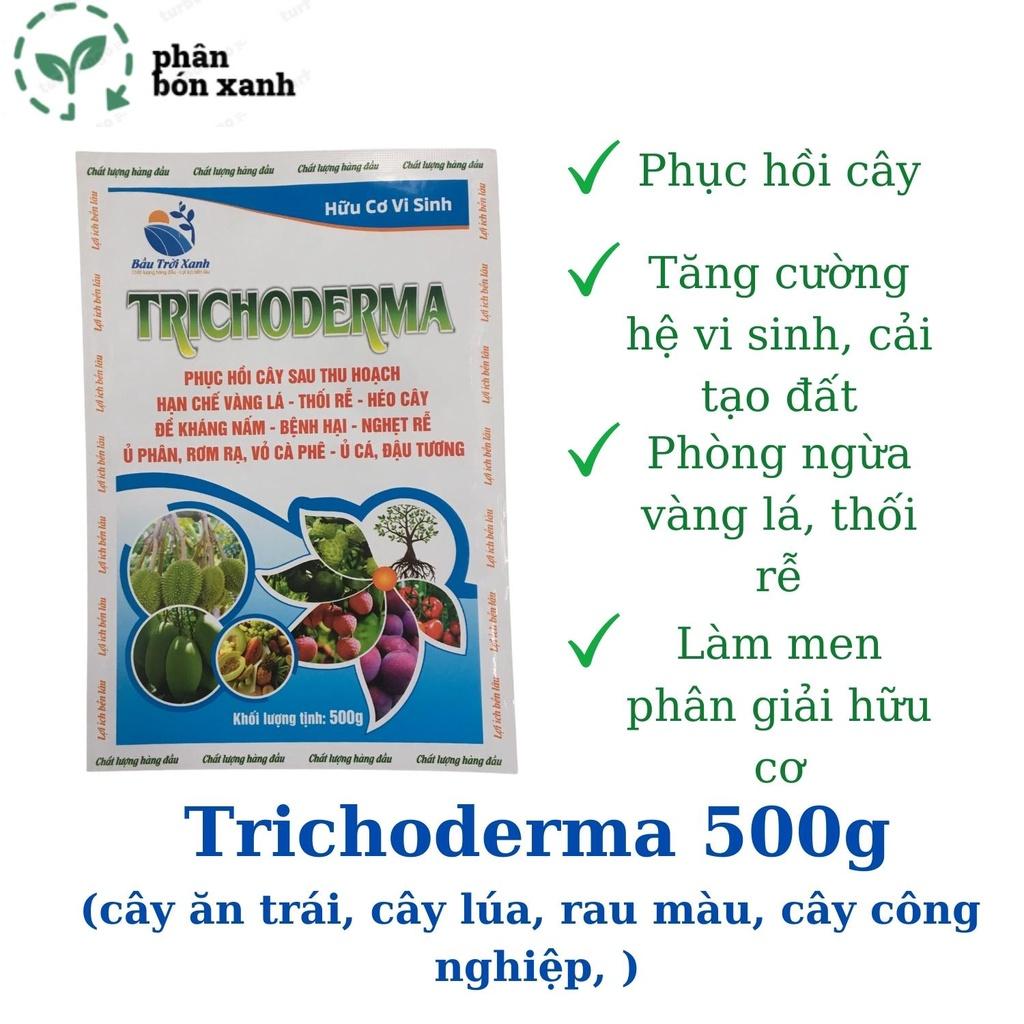 TRICHODERMA, nấm đối kháng, hạn chế vàng lá, nấm bệnh, dùng ủ phân, cải tạo đất, phục hồi cây