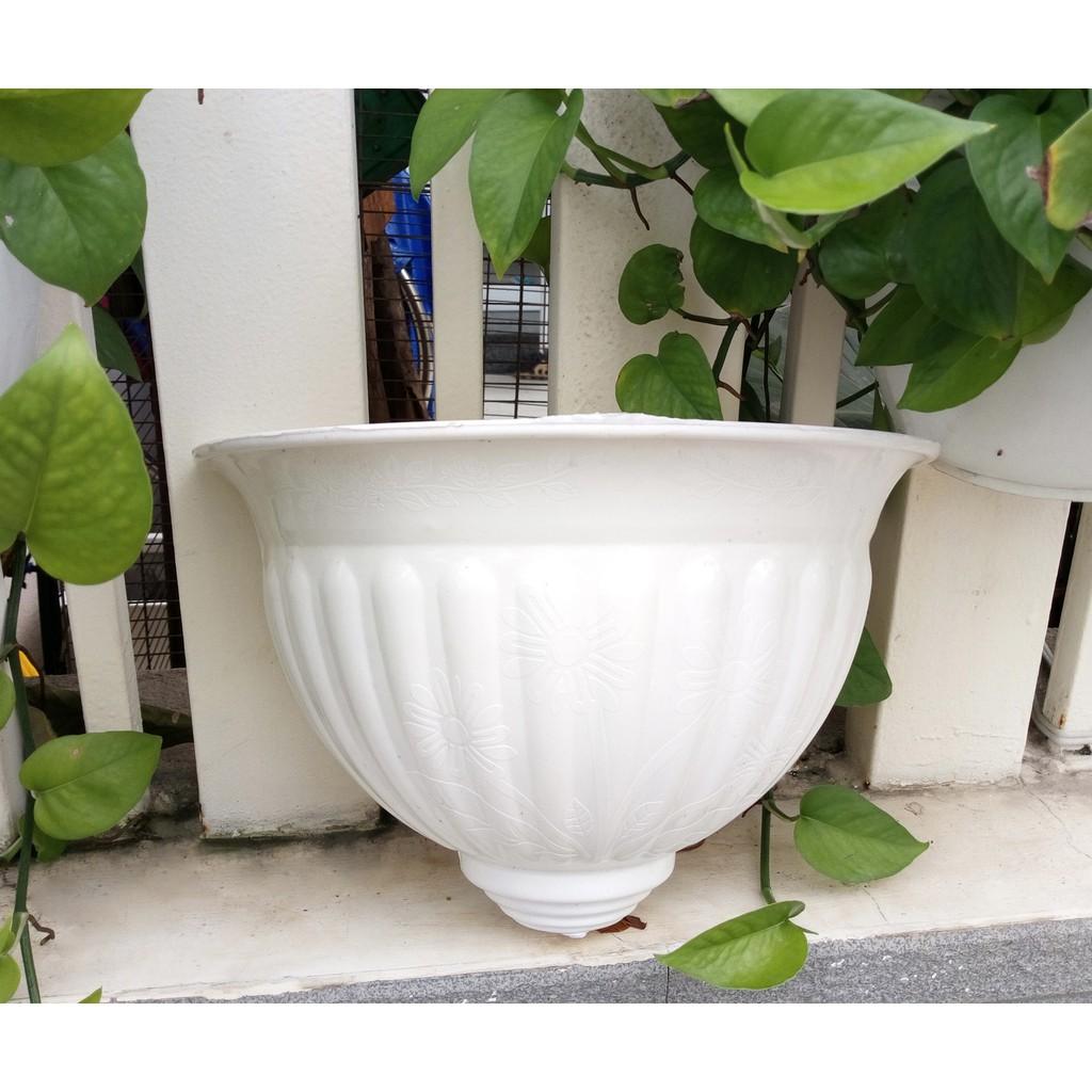 Combo 2 chậu trồng hoa ốp tường lớn trắng 30 x 20cm