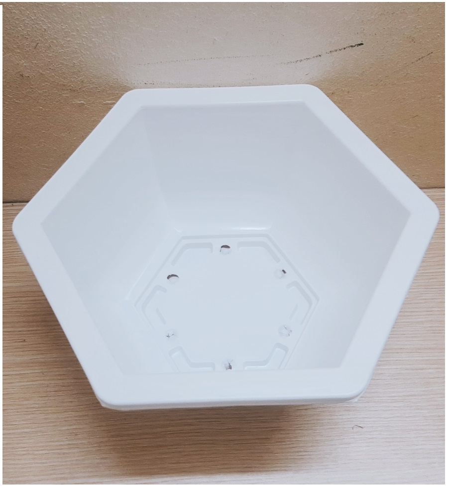 10 Chậu Nhựa Lục Giác Trồng Hoa, Cây Cảnh Bonsai 280x180 - Màu Trắng